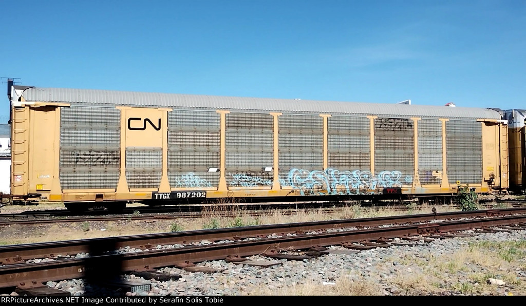 TTGX 987202 Rack CN